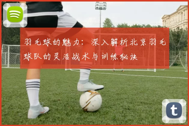 羽毛球的魅力：深入解析北京羽毛球队的灵活战术与训练秘诀