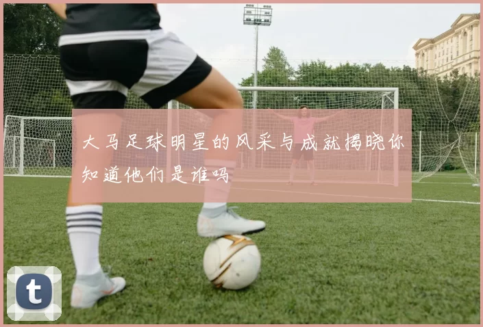 大马足球明星的风采与成就揭晓你知道他们是谁吗