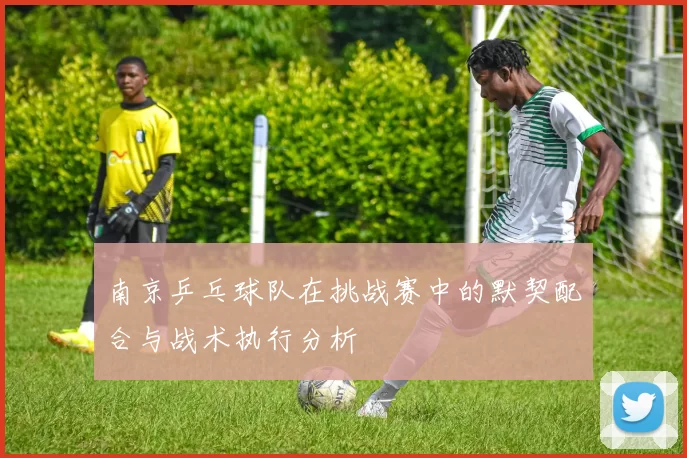 南京乒乓球队在挑战赛中的默契配合与战术执行分析