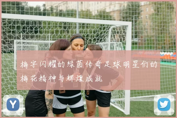 梅字闪耀的绿茵传奇足球明星们的梅花精神与辉煌成就