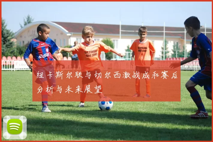 纽卡斯尔联与切尔西激战成和赛后分析与未来展望