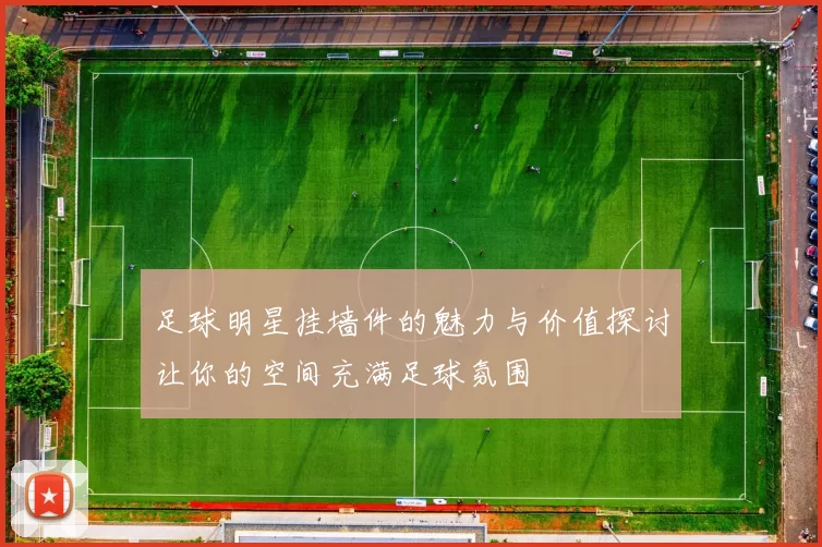 足球明星挂墙件的魅力与价值探讨让你的空间充满足球氛围