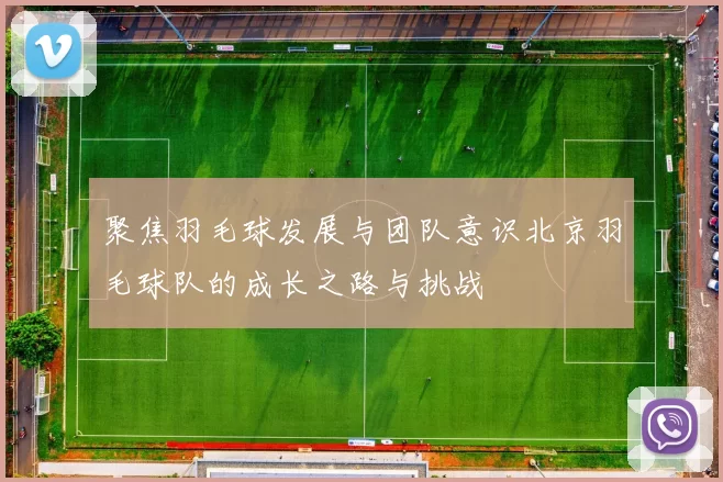 聚焦羽毛球发展与团队意识北京羽毛球队的成长之路与挑战