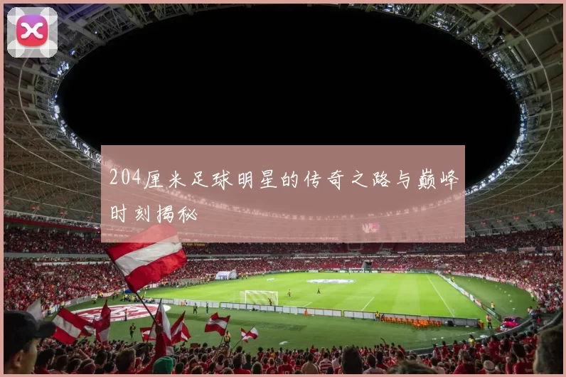 204厘米足球明星的传奇之路与巅峰时刻揭秘