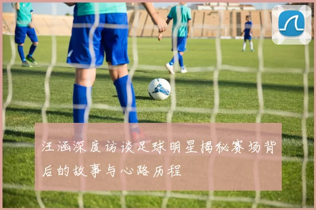 汪涵深度访谈足球明星揭秘赛场背后的故事与心路历程