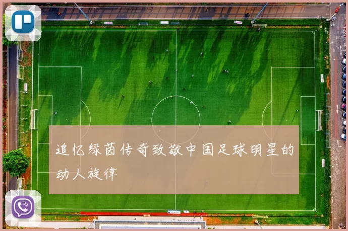 追忆绿茵传奇致敬中国足球明星的动人旋律