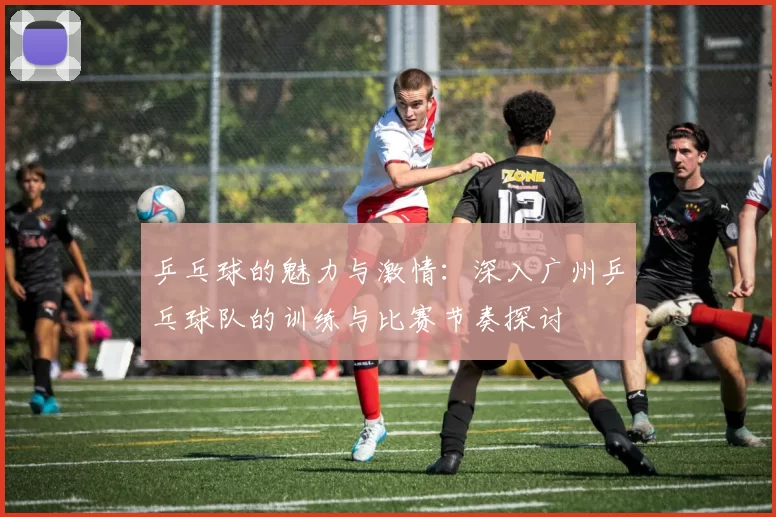 乒乓球的魅力与激情：深入广州乒乓球队的训练与比赛节奏探讨